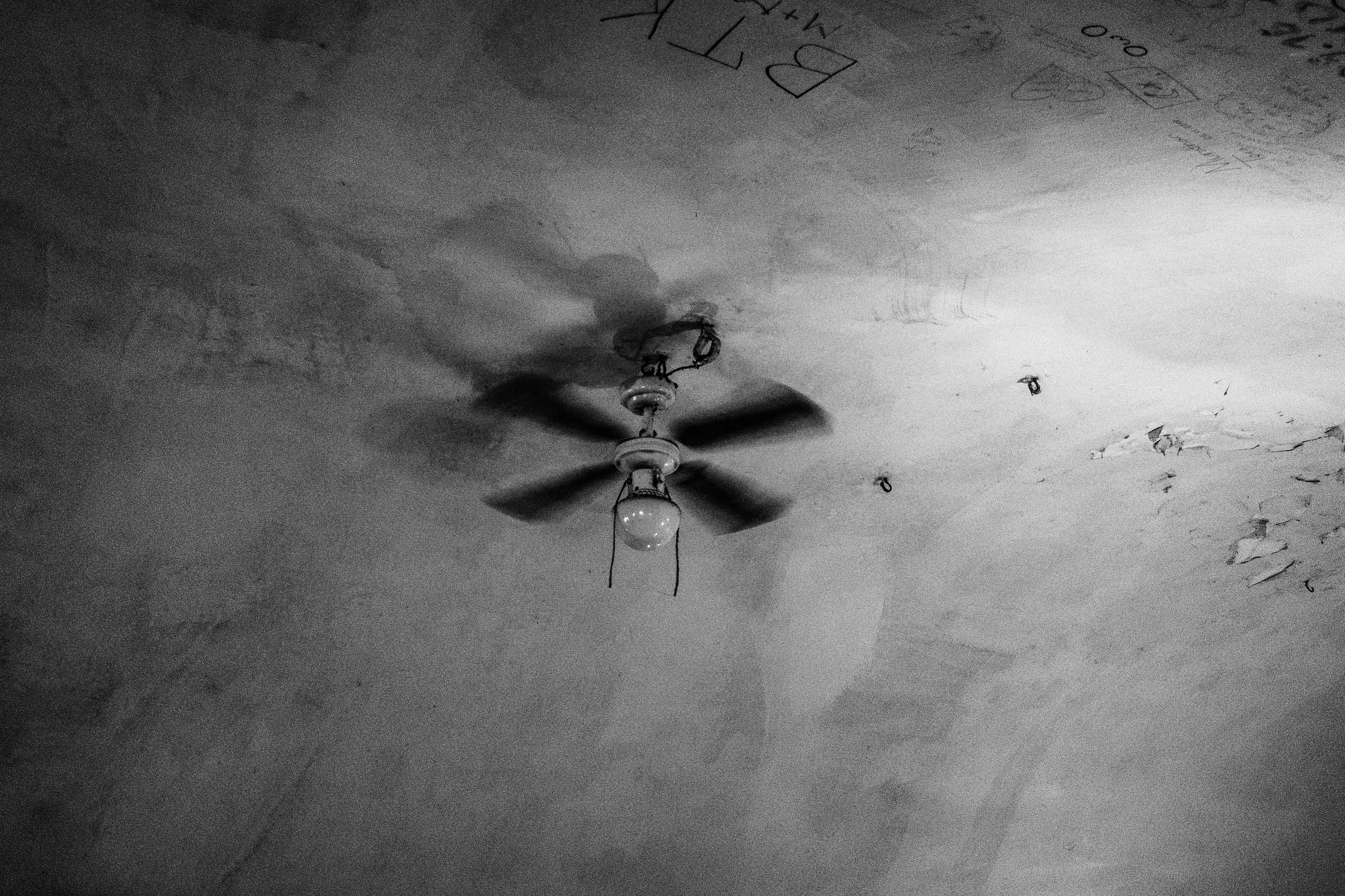 Fantazja — photographie 19, Pologne, noir et blanc